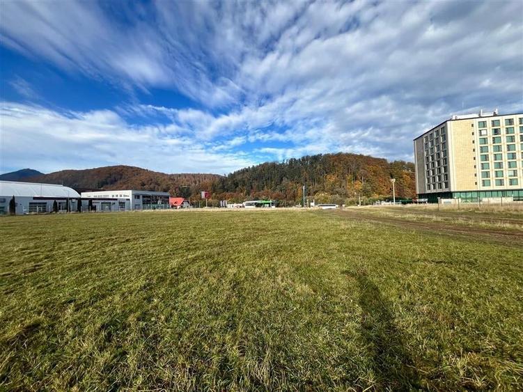 TEREN INTRAVILAN DEOSEBIT , BUNLOC, SACELE - 1