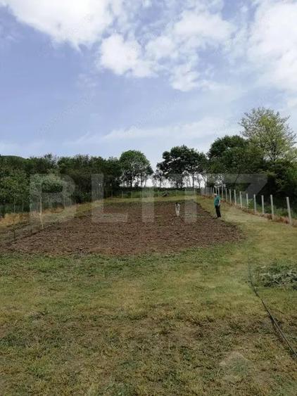 Casa renovabila, 1508 mp teren, Vultureni - 5