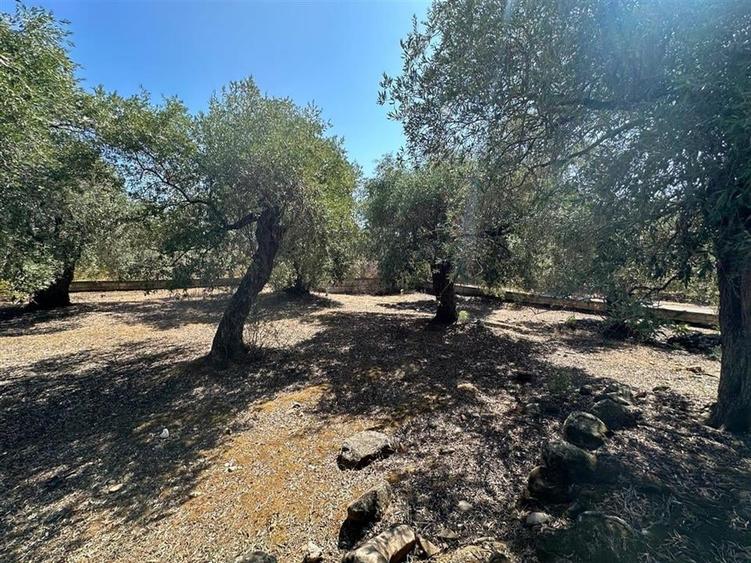 Teren intravilan pe insula Thassos, aproape de plaja salbatica - 11