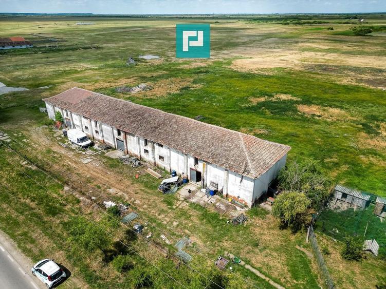 Hală industrială cu teren generos în Zărand, Arad - 13