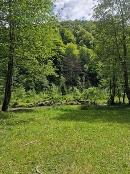 Teren intravilan - Rucar - Satic - 1775 mp - la strada principala - deschidere - 4