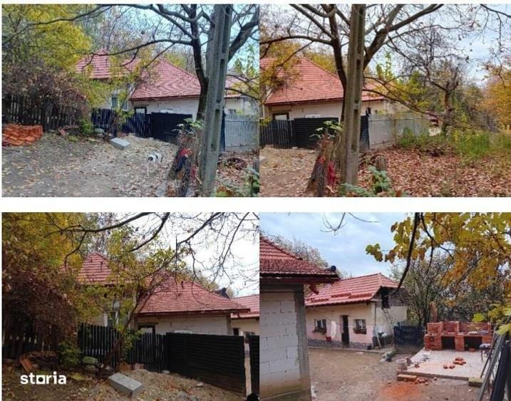 Casă cu 2 camere în Dobriceni