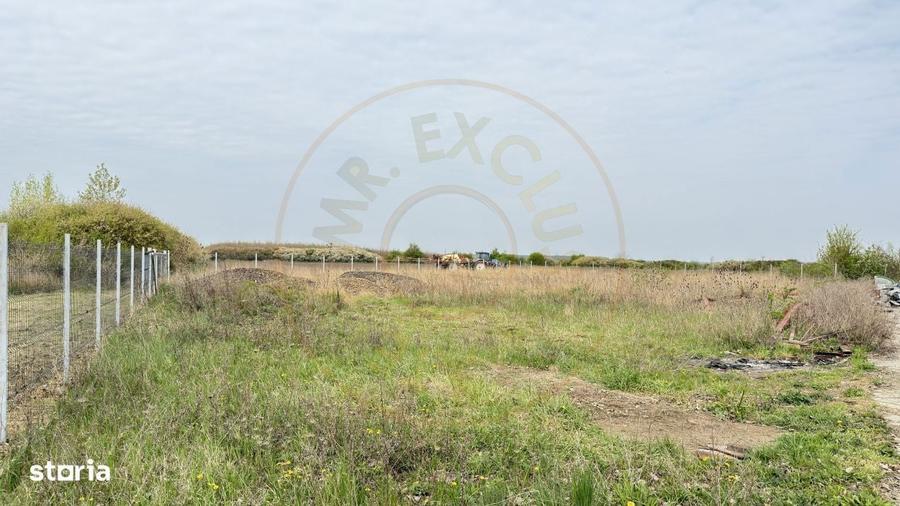 Teren Intravilan 1300 mp / Extravilan 3.700 mp/ DJ 196B Carei (DN 1F) - 2