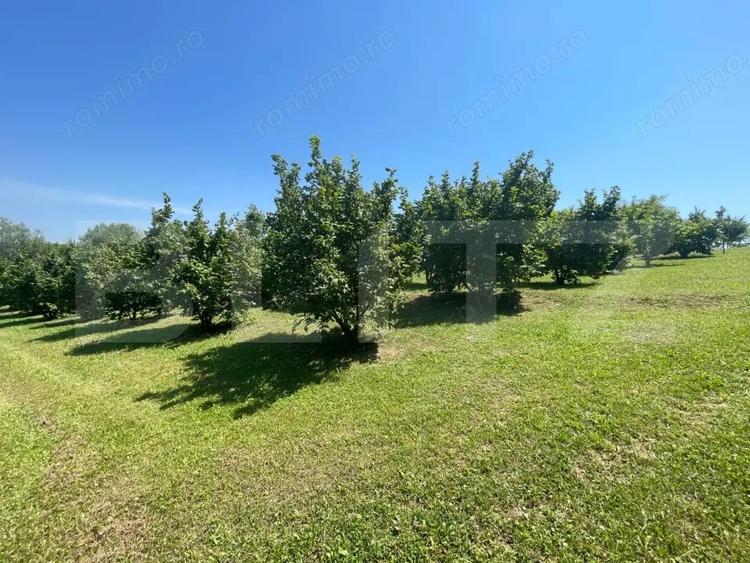 Glamping, piscicultura ?i turism spiritual - totul intr-un singur loc - 5