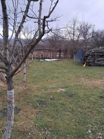 Vand casa cu teren in municipiul Vulcan - 7