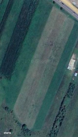 Teren intravilan, 5100 mp, toate utilitatile trase la parcela, Mera - 2