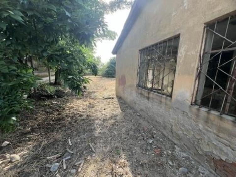 RECO , Spatiu comercial, Ineu,Bihor - 6