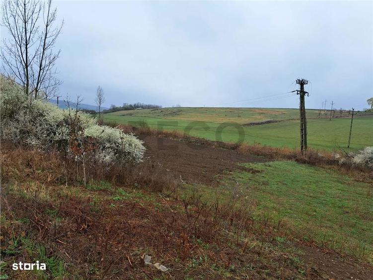 RECO teren Viisoara - 3