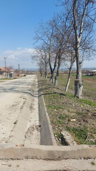 Teren de vanzare Ionesti - 4