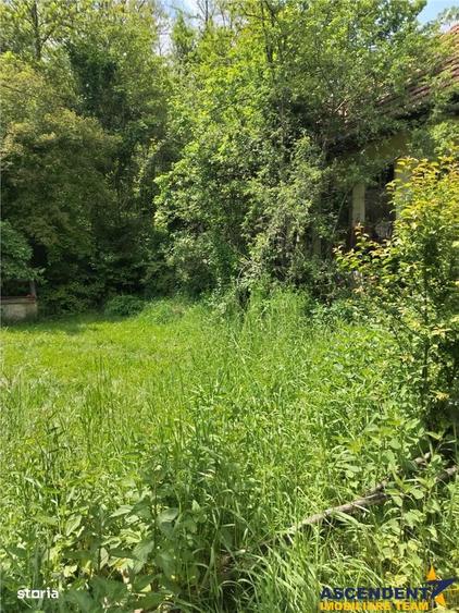 Domeniu verde autentic, +5.000mp, front la DJ, Valcele, Brasov -- Cov - 7