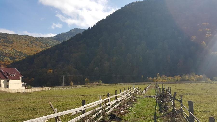 Teren extravilan Lepsa zona Casa Albert - 4