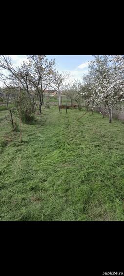 vind casa s-au schimb - 2