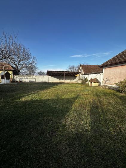 Casa de vanzare in Suplacu de Tinca 1 ha teren - 6