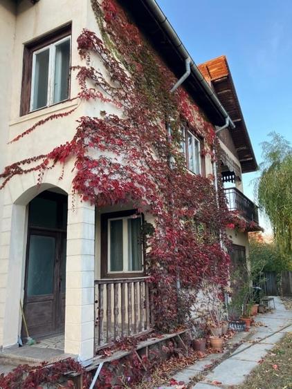 Oportunitate ideală de investiție și locuit– Casă, curte și livadă pe 1800 mp - 4