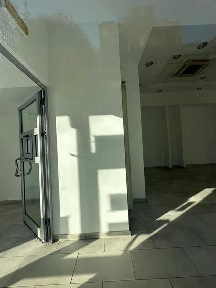 Zona Dimitrie Cantemir-Budapeste Sp153 mp P+Supanta - 9