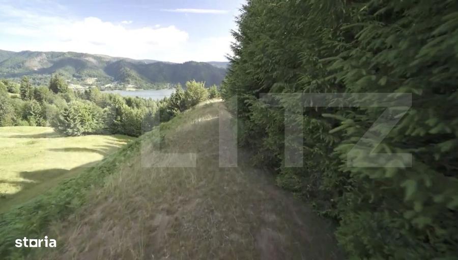 Teren intravilan de top Colibita | 16.945 mp | Panorama munti si l - 7