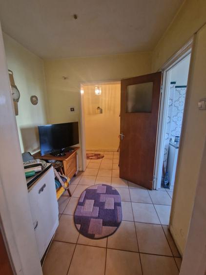 Baba Novac, Parc Ior, Mall Park Lake - 11