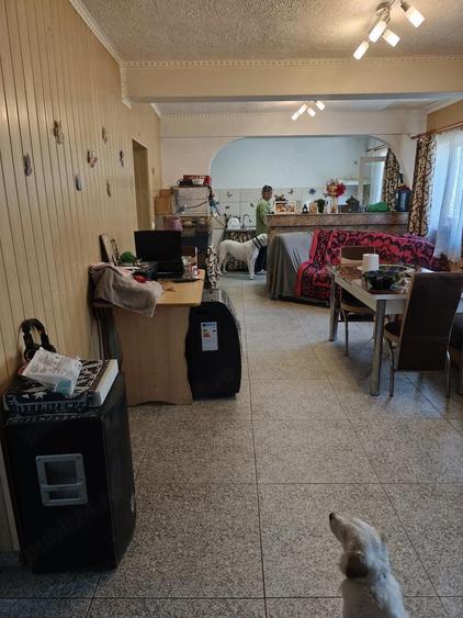 Proprietate completa 0,9 ha Casa P+1 + foi?or + livada + padure in spate Boga?i, Arge? - 7