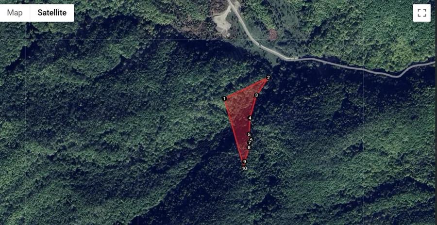 Teren de 20000 mp, în Bordenii Mari