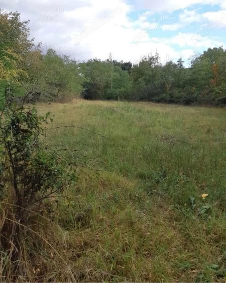 Casa batraneasca Podu Turcului, Bacau + Teren - 8