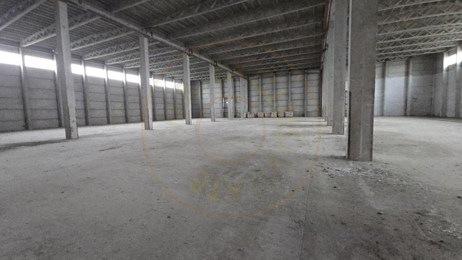 De Vanzare Hala/Depozit - 2