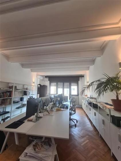 Plantelor, vila splendida cu 6 apartamente, curte, terase, garaj. - 5