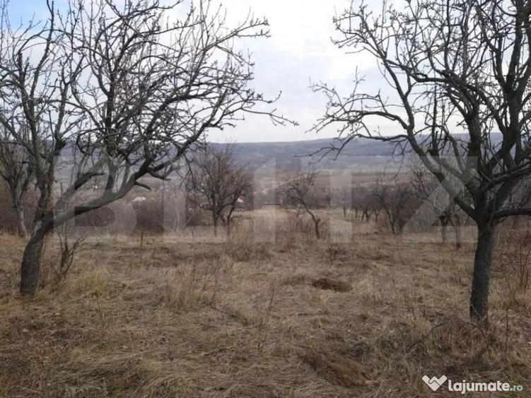 Teren intravilan 3712 mp + 2600 mp extravilan in Dobrovat - 4