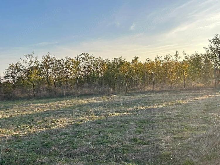Teren de 920 mp, în Pruni