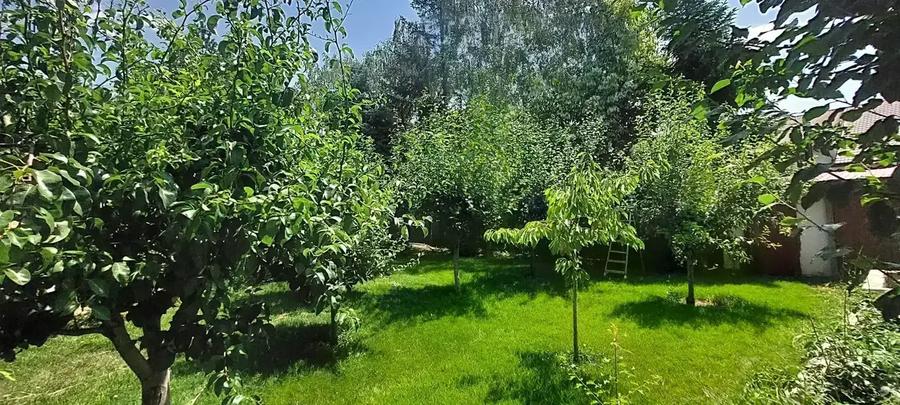 Vila cu 8 Camere Corbeanca | Semineu | Curte 2300mp | Piscina | Sauna - 8