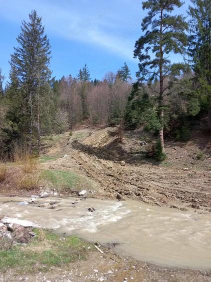 Vand teren Humor - Voronet 22.250 mp - 4