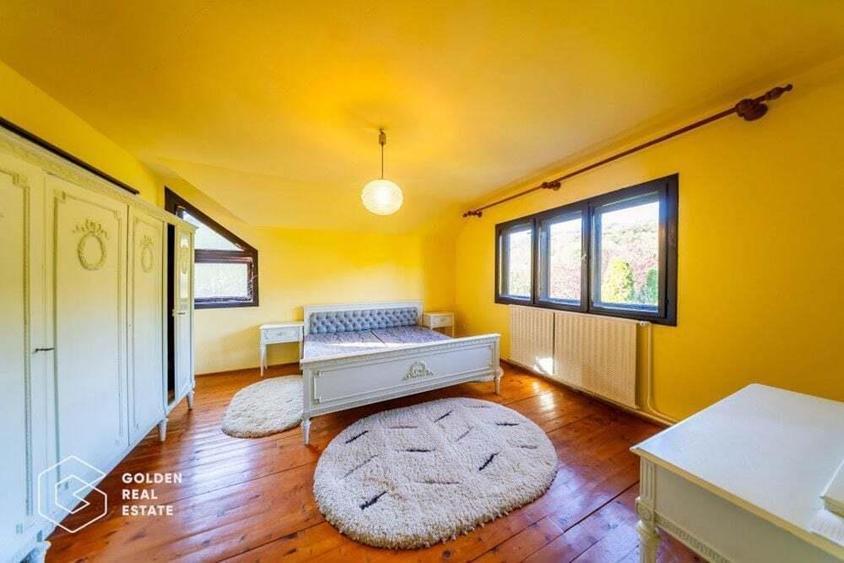 Casa de vacanta, localitatea Cladova, ideal pozitionata - 13