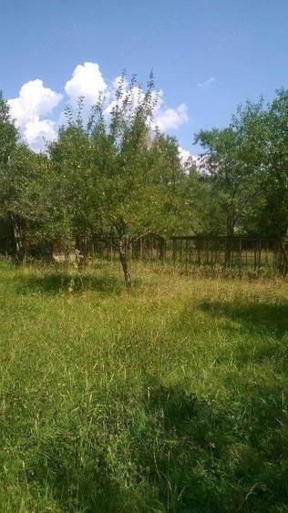 Casa ?i teren de vanzare - 9