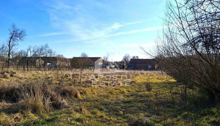 Casa de caramida in Tela si Teren Generos de 4320 mp - 2