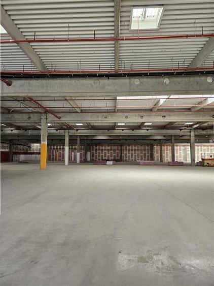 Spatiu Industrial - 9500 mp - Logistica - Productie - Depozitare - Distributie - 12