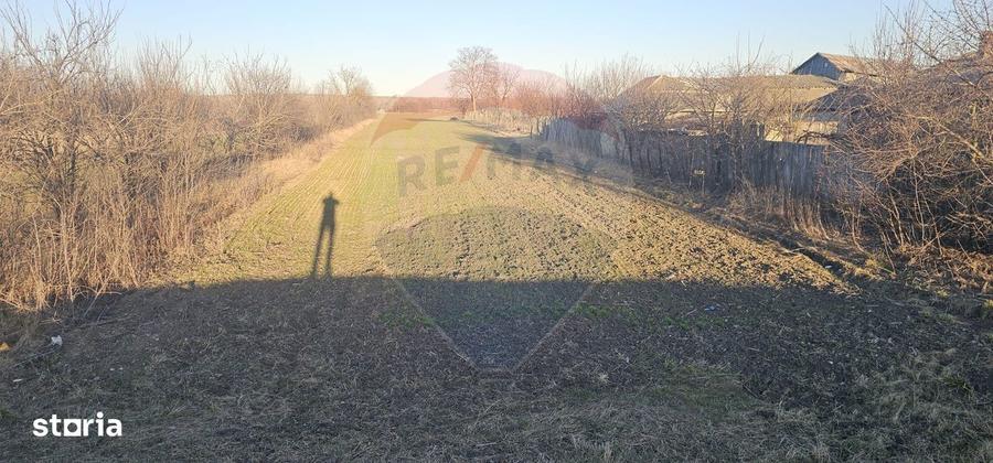 Teren intravilan/extravilan, Strada Rasaritului, com. Filipesti - 7