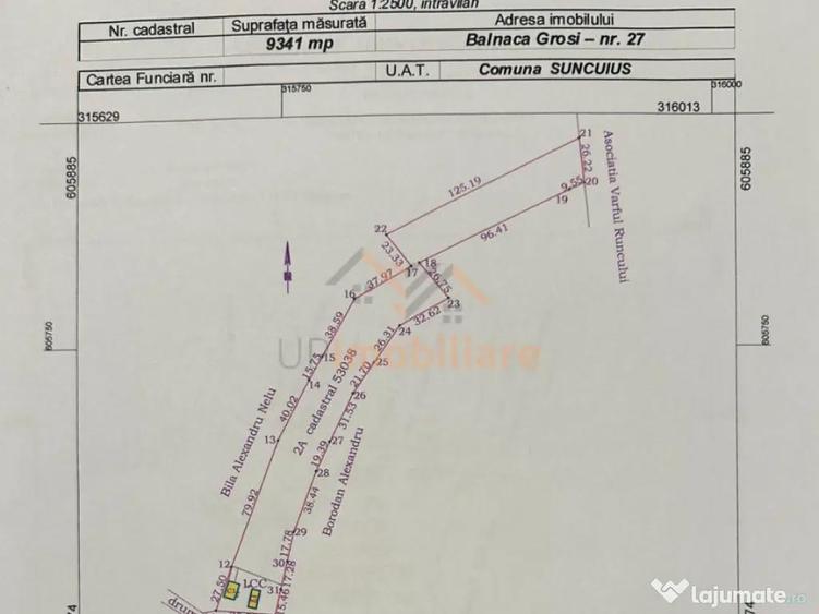 TEREN | 9341 MP | BALNACA GROSI | BIHOR - 7