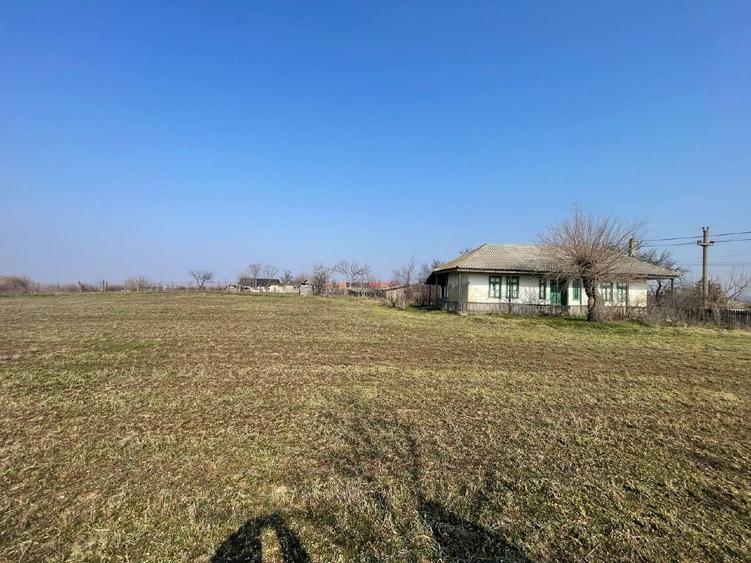 Teren pretabil Investitie in Comuna Daieni Bratul Macin Dunarea Veche Ostrov - 7