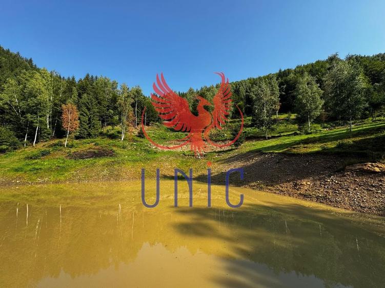 18000 mp de natura pura ,Lupeni, langa Straja - 27