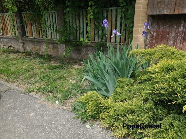 Otopeni Oituz teren 1000 mp deschidere 14 ml utilitati langa teren - 1