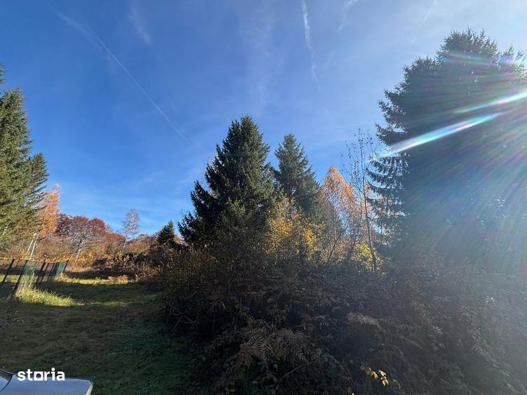 Teren intravilan 1725mp zona Valea Avrigului - 2