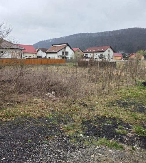 Teren intravilan intre case în Bunloc, lângă pădure – 604 mp - 5
