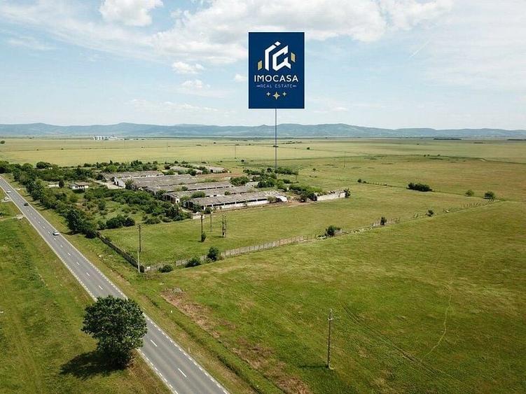 Hale depozitare, grajd, Curte betonata, Horia Jud. Arad - 3