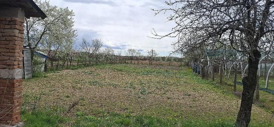 Vand casa - 1