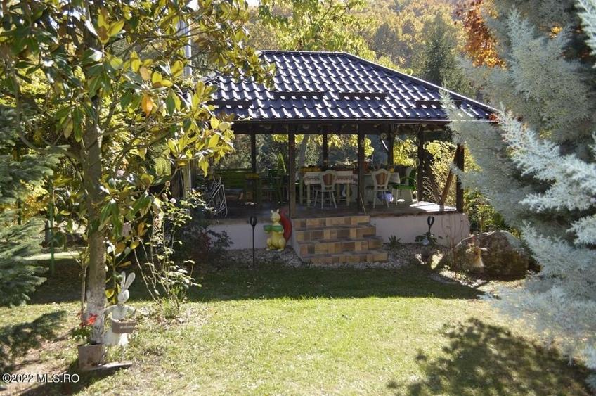 Topoloveni - Conacul Ion Mihalache, Domeniu pe 5 Hectare! - 14