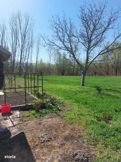 Oaza de liniste cu izvor natural si padurice - 3800 mp in Mastacani - 6