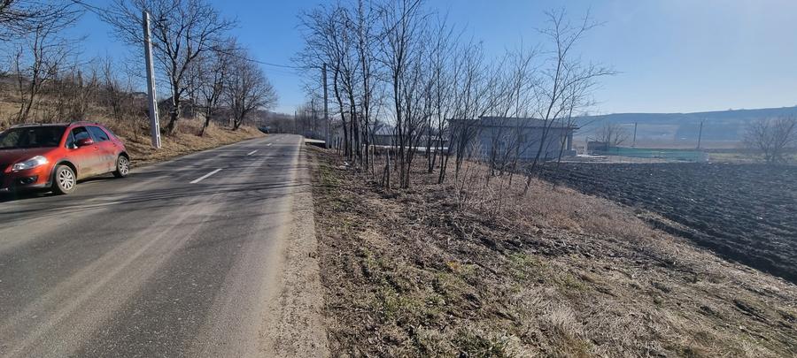 Teren la strada in Manolesti - 2