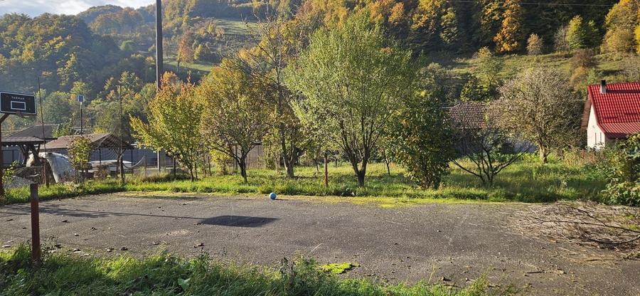 Casa sau casa de vacanta la munte - 4