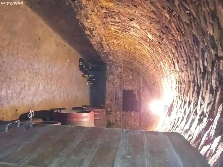 vand cabana cu beci in loc. Zauan - 3