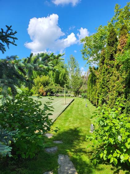 Dimineți pe ponton, seri la piscină – viața la Snagov. - 18