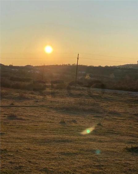 RECO Teren intravilan in Saldabagiu De Munte 2000mp - 6